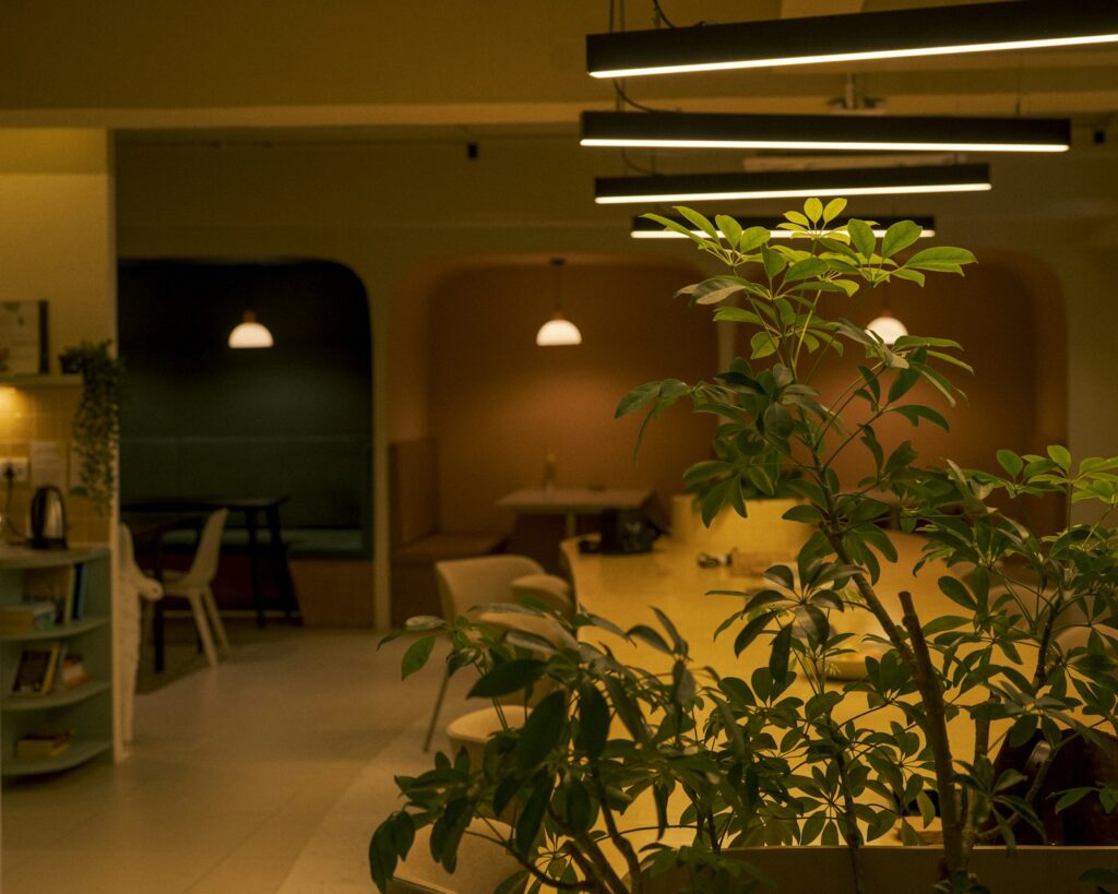 Warmly lit lounge with tables, chairs and leafy plants.